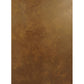 Meyda Lighting Piastra 18" LED Art Deco Gold Right Wall Sconce