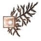 Meyda Lighting Pine Branch 14" Mahogany Bronze Valley View Left Wall Sconce With Silver Mica Shade Glass