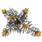 Meyda Lighting Pine Branch 45" 6-Light Cafe Noir Valley View Chandelier With Beige Iridescent Shade Glass