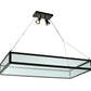 Meyda Lighting Plateau 49" 2-Light Wrought Iron Inverted Pendant Light With Clear Shade Glass
