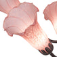 Meyda Lighting Pond Lily 24" 7-Light Mahogany Bronze Chandelier With Pink Shade Glass
