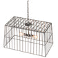 Meyda Lighting Quadrato 32" 2-Light Matte Clear Steel Golpe Pendant Light