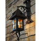 Meyda Lighting Restored 8" Wrought Iron Kasteel Wall Sconce