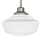 Meyda Lighting Revival 16" Nickel Schoohouse Pendant Light With White Opal Shade Glass