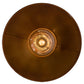 Meyda Lighting Schotel 32" Transparent Copper Pendant Light With Clear Shade Glass