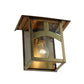 Meyda Lighting Seneca 9" Natural Brass Wall Sconce With Clear Shade Glass