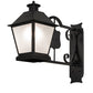 Meyda Lighting Stafford 11" Blackwash Lantern Wall Sconce With Frosted Rainstone Idalight Shade