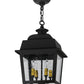 Meyda Lighting Stockwell 17" 4-Light Wrought Iron Hanging Lantern Pendant Light With Clear Seeded Shade Glass