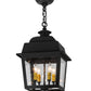 Meyda Lighting Stockwell 17" 4-Light Wrought Iron Hanging Lantern Pendant Light With Clear Seeded Shade Glass