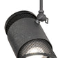 Meyda Lighting Telluride Magic 18" 2-Light Natural Iron & Solar Black Pendant Light