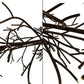 Meyda Lighting Thicket 108" 88-Light Solar Black Chandelier