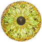 Meyda Lighting Tiffany Hanginghead Dragonfly 30283 38" 5-Light Mahogany Bronze Inverted Pendant Light With Multi-Colored Stained Shade Glass