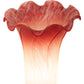 Meyda Lighting Tiffany Pond Lily 15" Mahogany Bronze Nouveau Lady Mini Table Lamp With Pink & White Shade Glass