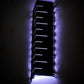 Meyda Lighting Tortuga Luna 12" LED Textured Black Wall Sconce