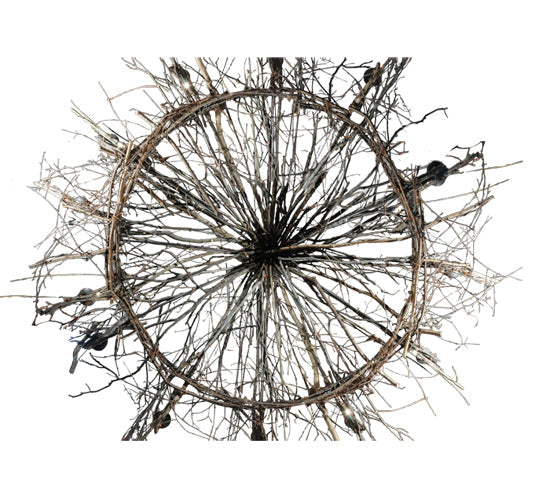 Meyda Lighting Twigs 132" 12-Light Mahogany Bronze Chandelier With Faux Candlelight