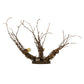 Meyda Lighting Twigs 16" Mahogany Bronze Wall Sconce With Ivory Faux Candlelight