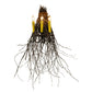 Meyda Lighting Twigs 20" 3-Light Timeless Bronze Wall Sconce With Ivory Faux Candlelight
