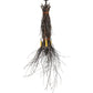 Meyda Lighting Twigs 35" 4-Light Timeless Bronze Pendant Light With Ivory Faux Candlelight