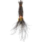 Meyda Lighting Twigs 35" 4-Light Timeless Bronze Pendant Light With Ivory Faux Candlelight
