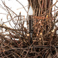 Meyda Lighting Twigs 36" 6-Light Dark Bronze & Natural Wood Chandelier
