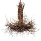 Meyda Lighting Twigs 36" 6-Light Dark Bronze & Natural Wood Chandelier