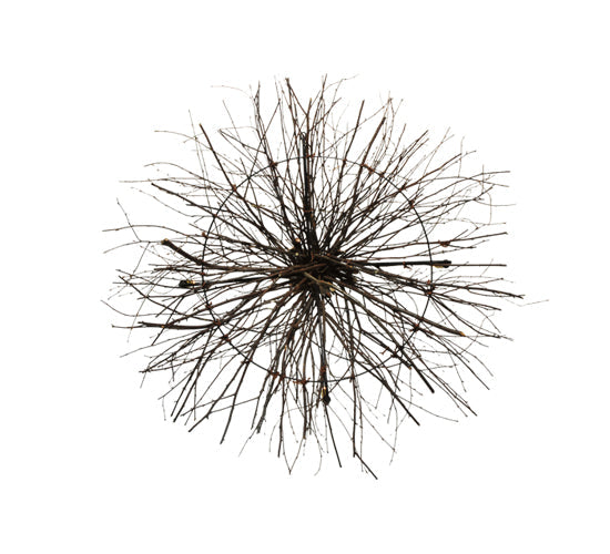 Meyda Lighting Twigs 48" 4-Light Mahogany Bronze Chandelier With Ivory Faux Candlelight