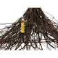 Meyda Lighting Twigs 48" 4-Light Mahogany Bronze Chandelier With Ivory Faux Candlelight