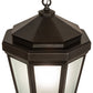 Meyda Lighting Wesleyan 16" Black On Brass Pendant Light With Frosted Clear Shade Glass