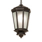 Meyda Lighting Wesleyan 16" Black On Brass Pendant Light With Frosted Clear Shade Glass