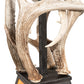 Meyda Lighting Whispering Pines 17" Costello Black Antler Pendant Light With Amber Mica Shade Glass