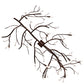 Meyda Lighting Winter Solstice 60" 11-Light Mahogany Bronze Island Chandelier With Clear Tulip Shade Glass