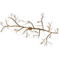 Meyda Lighting Winter Solstice 72" 12-Light Antique Hammer Gold Budding Chandelier With Clear Tulip Buds Shade Glass