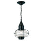 Norwell Lighting Classic Onion 15" x 11" 1-Light Black Medium Pendant With Seedy Glass Diffuser