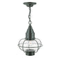 Norwell Lighting Classic Onion 15" x 11" 1-Light Gun Metal Medium Pendant With Clear Glass Diffuser