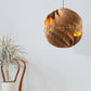 Ore International 14"H Cosmo Walnut Wood Round Hardwired Pendant Light