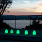 Smart and Green Egg LED Table Lamp