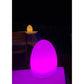 Smart and Green Egg LED Table Lamp