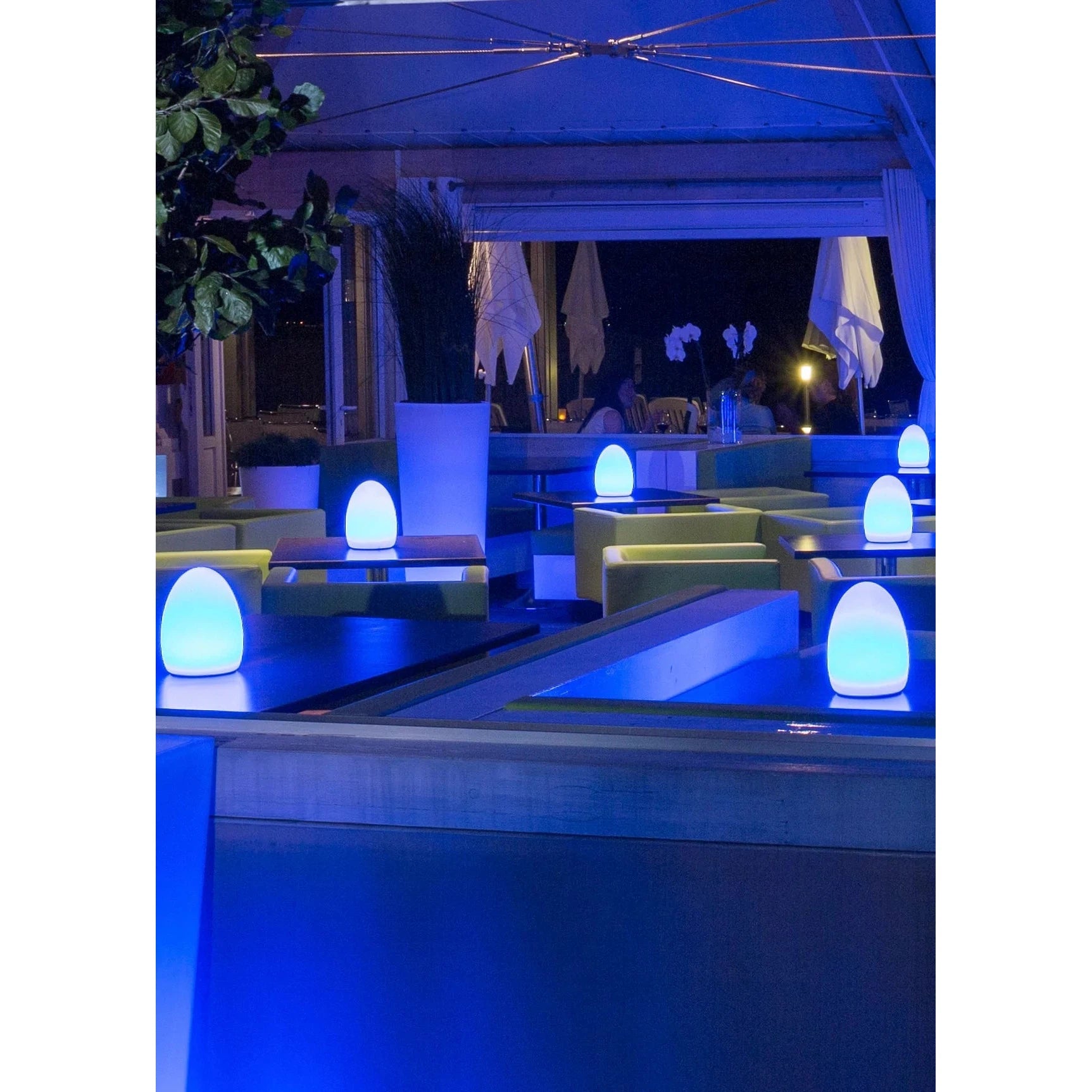 Smart and Green Egg LED Table Lamp