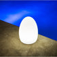 Smart and Green Egg LED Table Lamp
