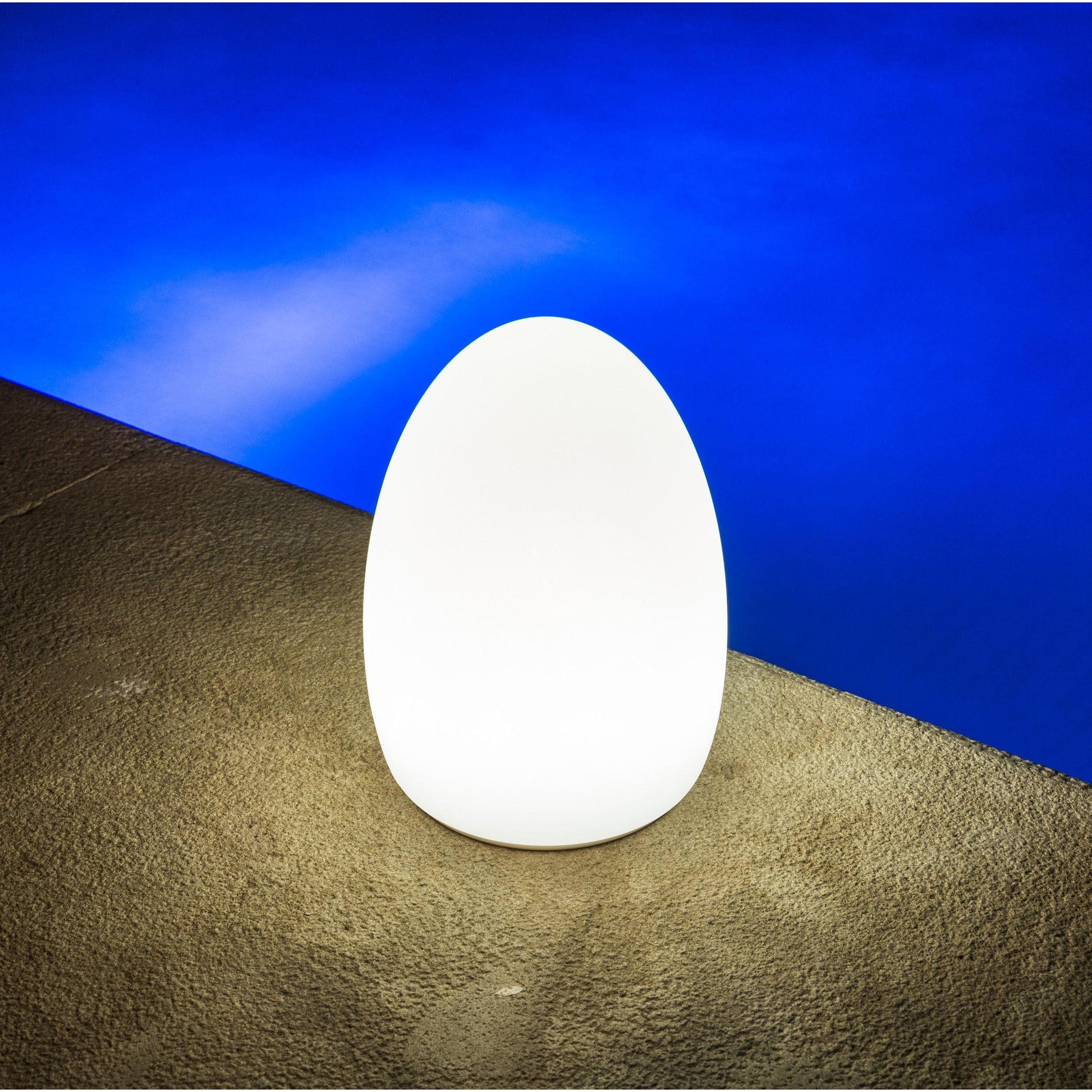 Smart and Green Egg LED Table Lamp