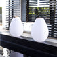 Smart and Green Vessel 2 11" LED Lamp
