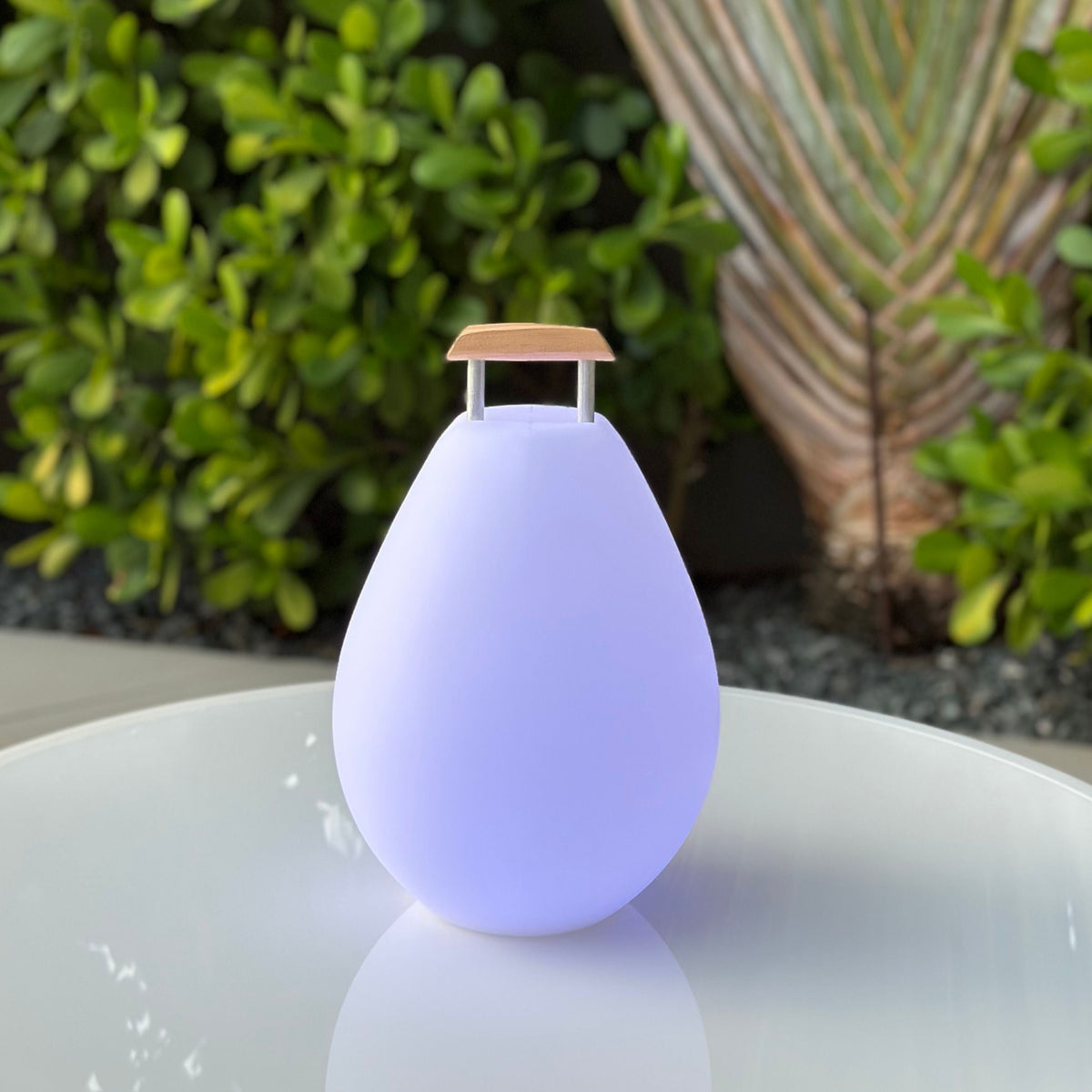 Smart and Green Vessel 2 11" LED Lamp