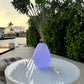 Smart and Green Vessel 2 11" LED Lamp