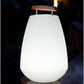 Smart and Green Vessel LED Lamp