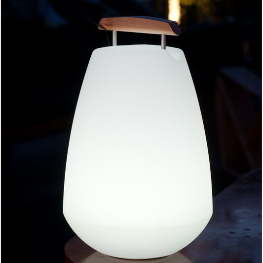 Smart and Green Vessel LED Lamp