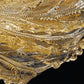 Sylcom Bembo 918/100-D-ORO 24 Kt Gold Ceiling lamp in Polished Gold Metal Finish