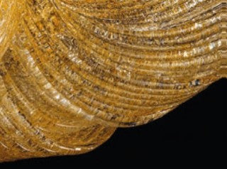 Sylcom Loredan 1399-B-GR.A Amber Graniglia Wall Lamp in White Metal Finish