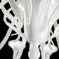 Sylcom Pisani 1431/6-D-BLAV Ivory Chandelier in Polished Gold Metal Finish