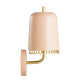 TOV Furniture Kuli Conical Shade Wall Sconce With Brass Accents in Blush Finish