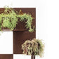 TrackDesign QUERINI | Corten Planter